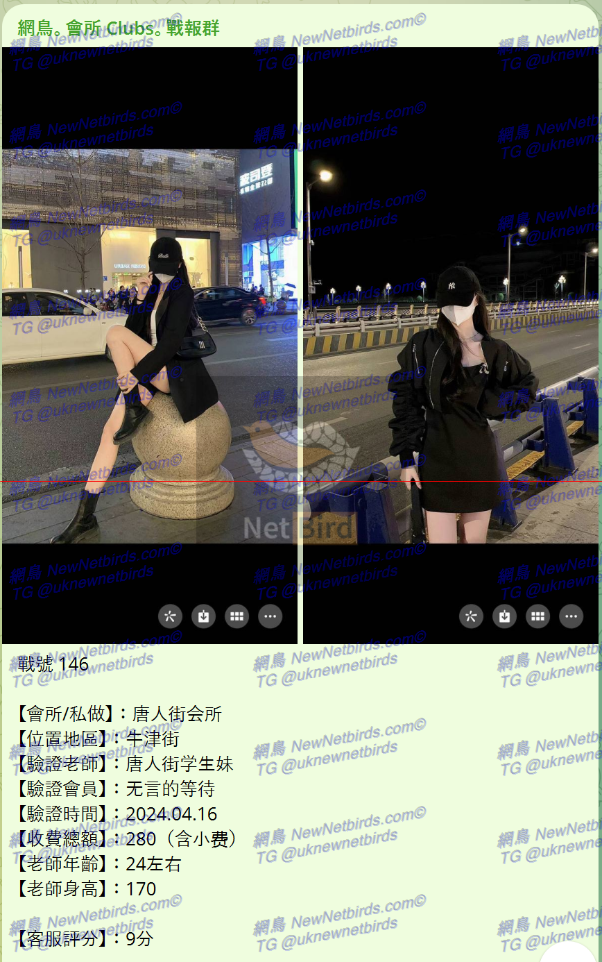 戰號 146 1.png